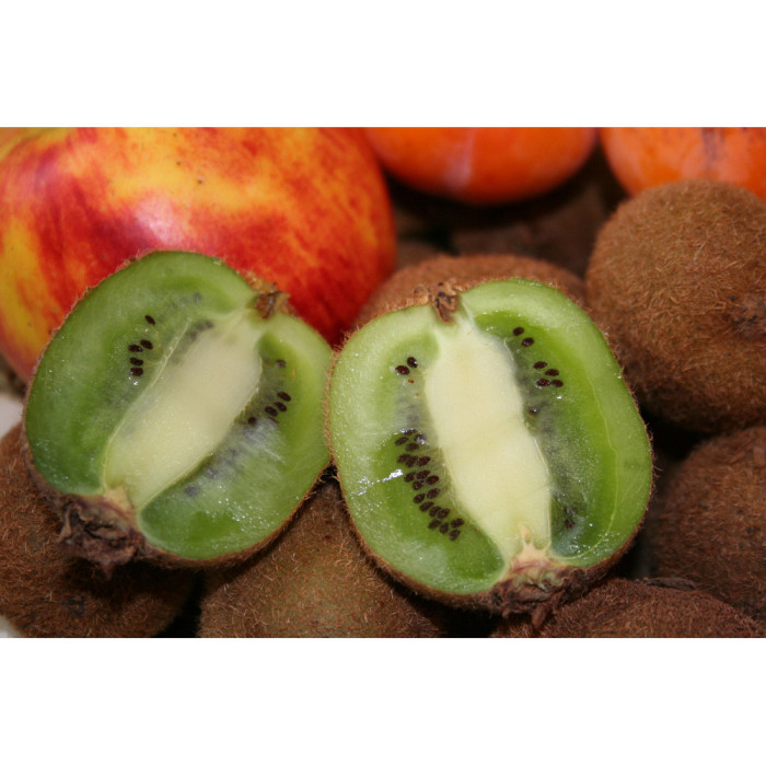 Kiwi Solissimo® renact c.o.v.