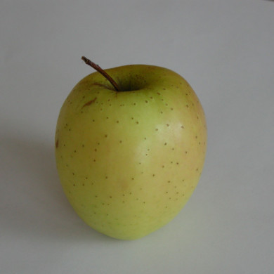 Pommier 'Golden Delicious'