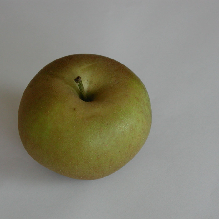 Pommier 'Reinette Blanche du Canada'