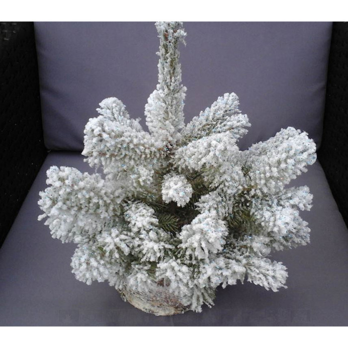 Sapin Epicéa floqué blanc