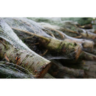 Branchage
