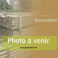 Terre aquatique Lotus et nénuphars