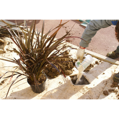 Mycorhizes Mycor® a Ferti Endo Ecto