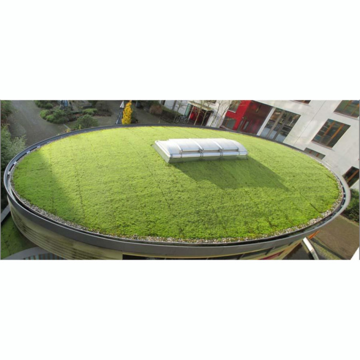 Tapis de mousse végétale