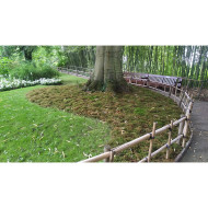 Tapis de mousse végétale