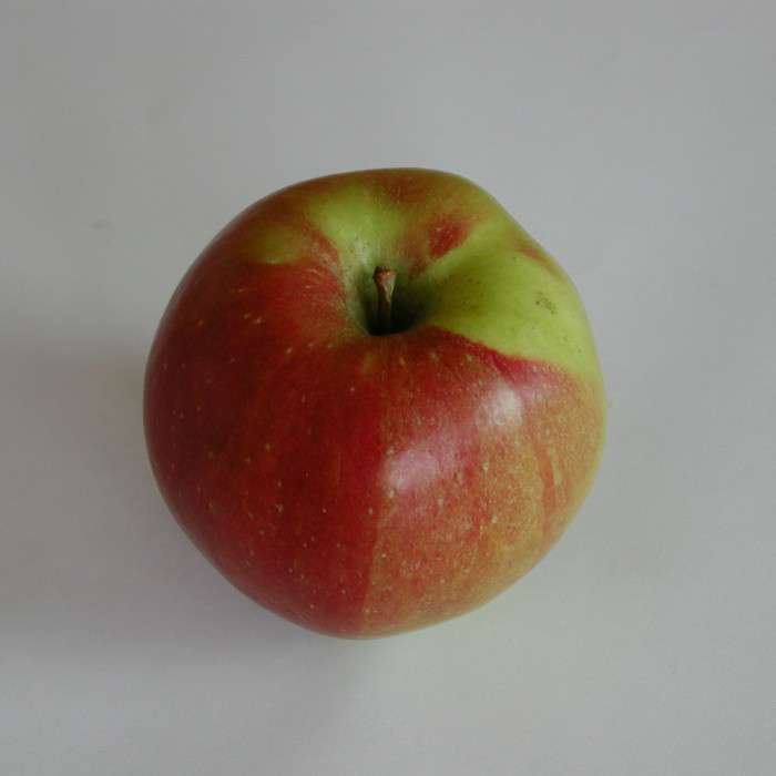 Uncinia rubra