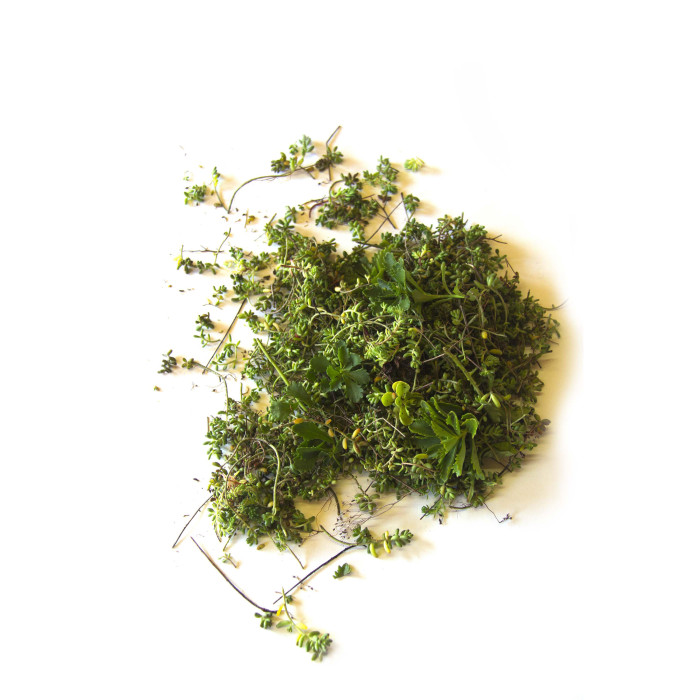 Fragments de sédum (prix au Kilo)