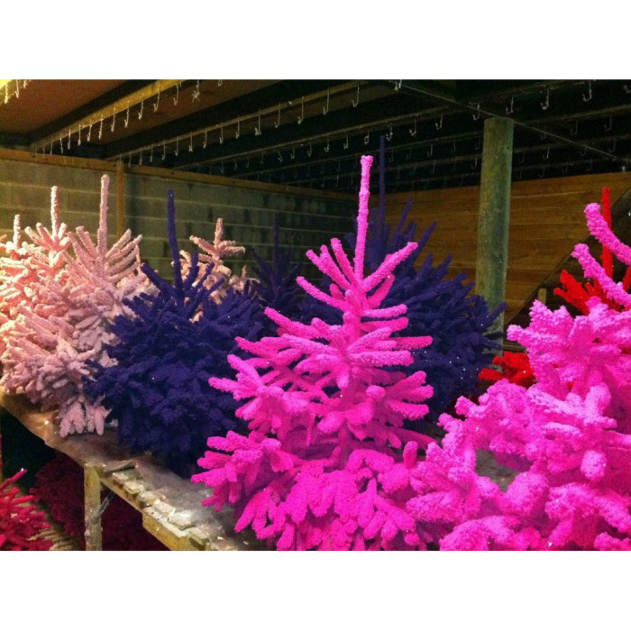 Sapin Epicéa floqué couleur
