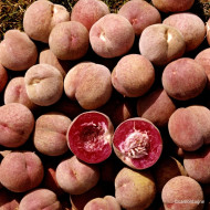 Pêcher 'Sanguine Vineuse'