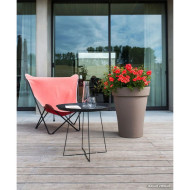 Rosier paysager DECOROSIERS® Isalia®