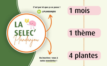 La Selec'Plandanjou