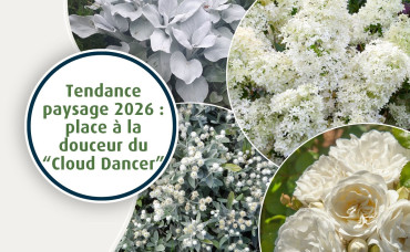 Tendance paysage 2026 : place à la douceur du “Cloud Dancer”